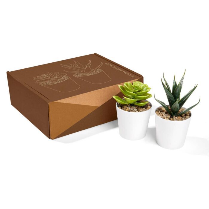 SET DE PLANTAS ALISO - Imagen 1